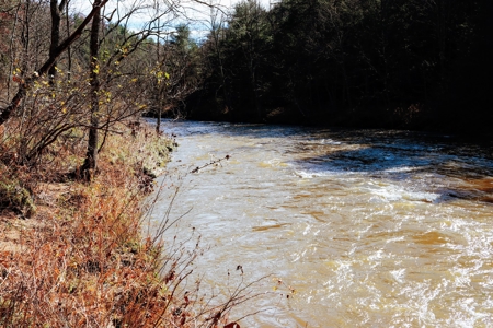 Waterfront Land for Sale in Carroll County VA - image 3