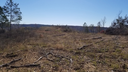 Unrestricted land for sale in Tennessee! - image 3