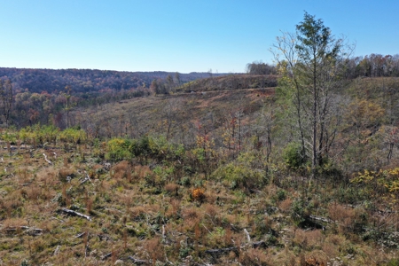 Unrestricted land for sale in Tennessee! - image 13