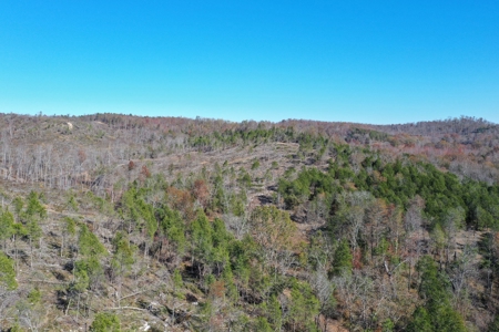 Unrestricted land for sale in Tennessee! - image 19