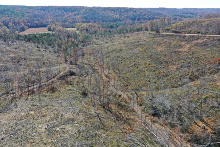 Unrestricted land for sale in Tennessee! - image 14