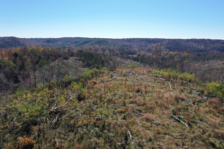 Unrestricted land for sale in Tennessee! - image 12