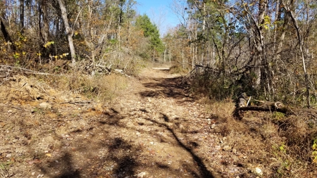 Unrestricted land for sale in Tennessee! - image 8