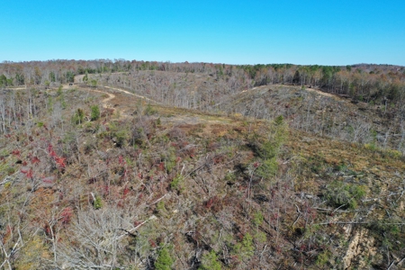 Unrestricted land for sale in Tennessee! - image 15