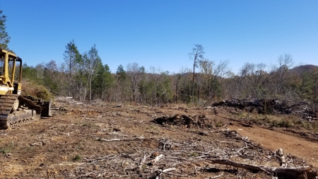Unrestricted land for sale in Tennessee! - image 7