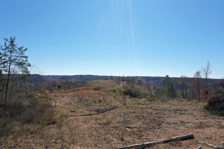 Unrestricted land for sale in Tennessee! - image 10