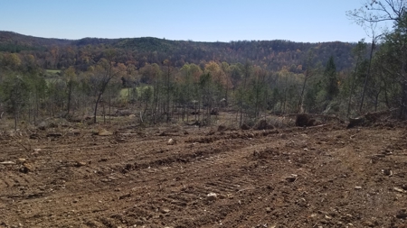 Unrestricted land for sale in Tennessee! - image 4