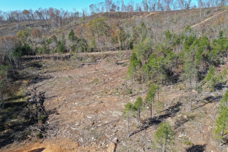 Unrestricted land for sale in Tennessee! - image 18