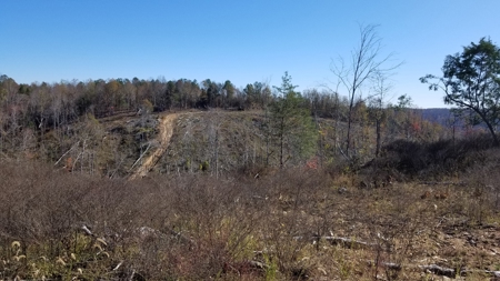 Unrestricted land for sale in Tennessee! - image 2