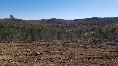 Unrestricted land for sale in Tennessee! - image 5