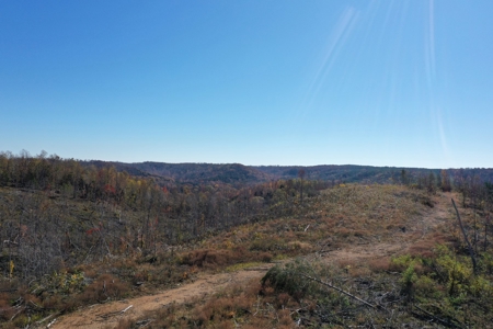 Unrestricted land for sale in Tennessee! - image 11
