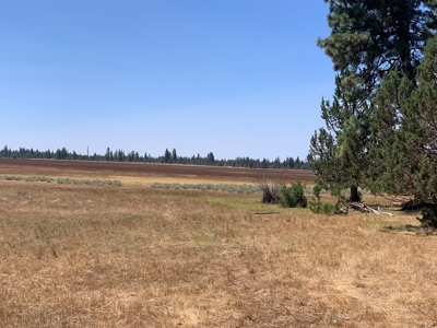 Pease Flat, 320+/-acres - image 9