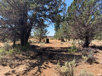 Pease Flat, 320+/-acres - image 6