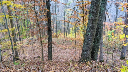 Ohio Hunting Properties for Sale - image 14