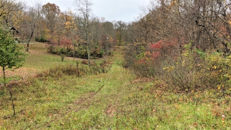 Ohio Hunting Properties for Sale - image 5