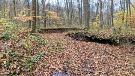 Ohio Hunting Properties for Sale - image 18