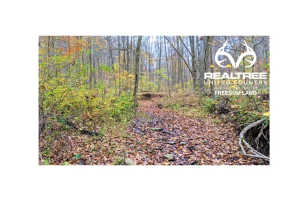 Ohio Hunting Properties for Sale - image 21