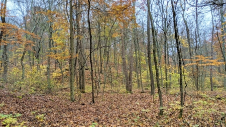 Ohio Hunting Properties for Sale - image 16