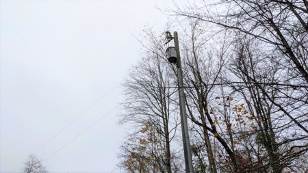 Ohio Hunting Properties for Sale - image 7