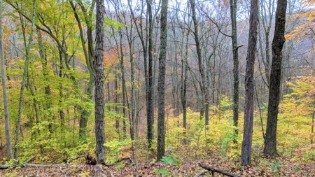 Ohio Hunting Properties for Sale - image 15