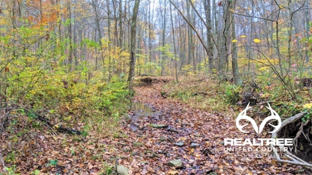 Ohio Hunting Properties for Sale - image 1
