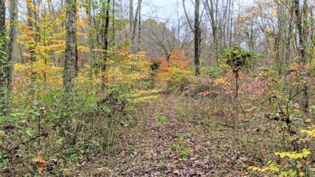 Ohio Hunting Properties for Sale - image 11