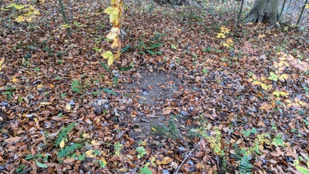 Ohio Hunting Properties for Sale - image 20