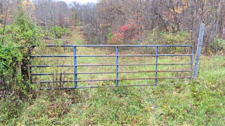 Ohio Hunting Properties for Sale - image 4