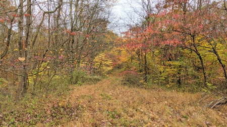 Ohio Hunting Properties for Sale - image 8