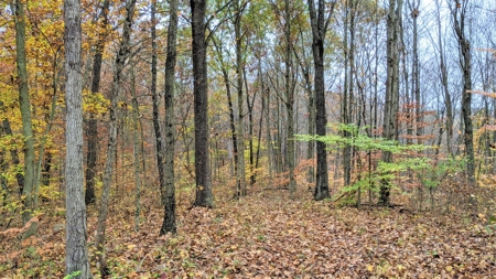 Ohio Hunting Properties for Sale - image 12