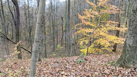 Ohio Hunting Properties for Sale - image 13