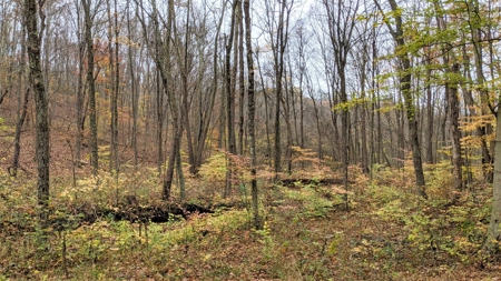Ohio Hunting Properties for Sale - image 17