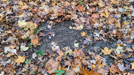 Ohio Hunting Properties for Sale - image 19