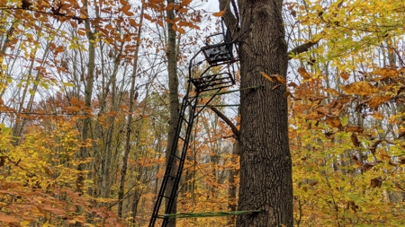 Ohio Hunting Properties for Sale - image 9