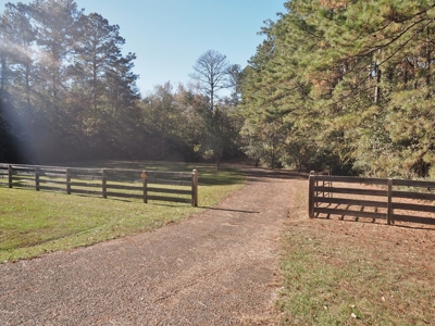 3 Bed/3 Bath Home, 85 Acres, Liberty, Amite Co, MS - image 17