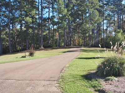 3 Bed/3 Bath Home, 85 Acres, Liberty, Amite Co, MS - image 22
