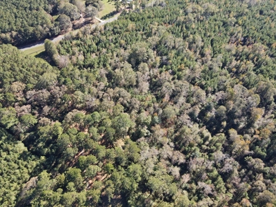 3 Bed/3 Bath Home, 85 Acres, Liberty, Amite Co, MS - image 28
