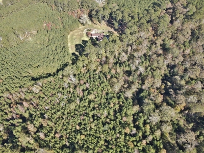 3 Bed/3 Bath Home, 85 Acres, Liberty, Amite Co, MS - image 26
