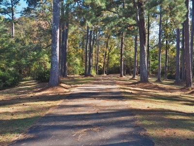 3 Bed/3 Bath Home, 85 Acres, Liberty, Amite Co, MS - image 20
