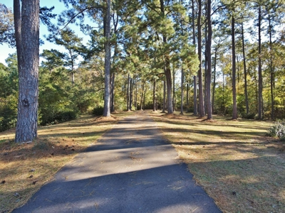 3 Bed/3 Bath Home, 85 Acres, Liberty, Amite Co, MS - image 19