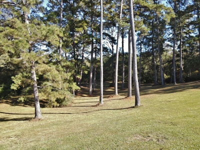 3 Bed/3 Bath Home, 85 Acres, Liberty, Amite Co, MS - image 24