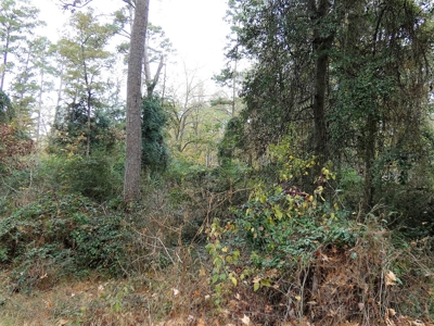 Holly Lake Ranch, Texas Golf Course Lot - Wood County Tx - image 3