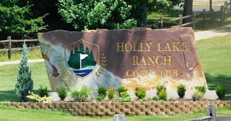 Holly Lake Ranch, Texas Golf Course Lot - Wood County Tx - image 21