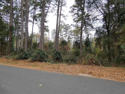 Holly Lake Ranch, Texas Golf Course Lot - Wood County Tx - image 4