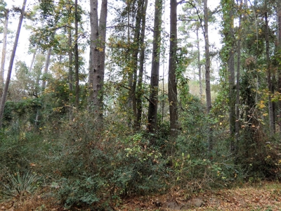 Holly Lake Ranch, Texas Golf Course Lot - Wood County Tx - image 6
