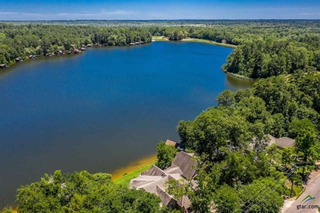 Holly Lake Ranch, Texas Golf Course Lot - Wood County Tx - image 18