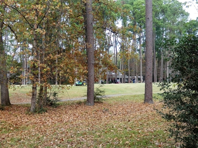 Holly Lake Ranch, Texas Golf Course Lot - Wood County Tx - image 1