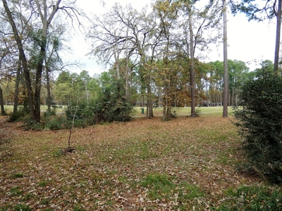 Holly Lake Ranch, Texas Golf Course Lot - Wood County Tx - image 8