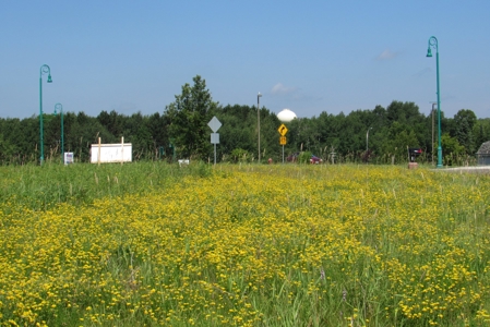 Commercial Property Site For Sale Off I-35 Carlton County MN - image 7