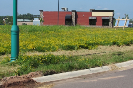 Commercial Property Site For Sale Off I-35 Carlton County MN - image 10